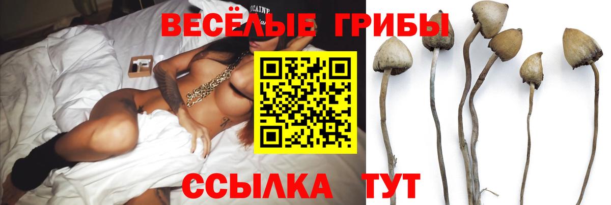 Соликамск  Галлюциногенные грибы мицелий  Вход с VPN 